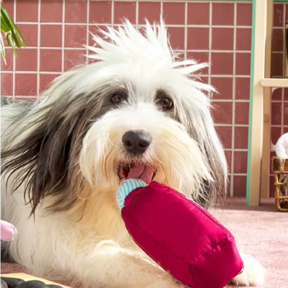 BARK PURE PUP JUICE CLEANSE DOG TOY
